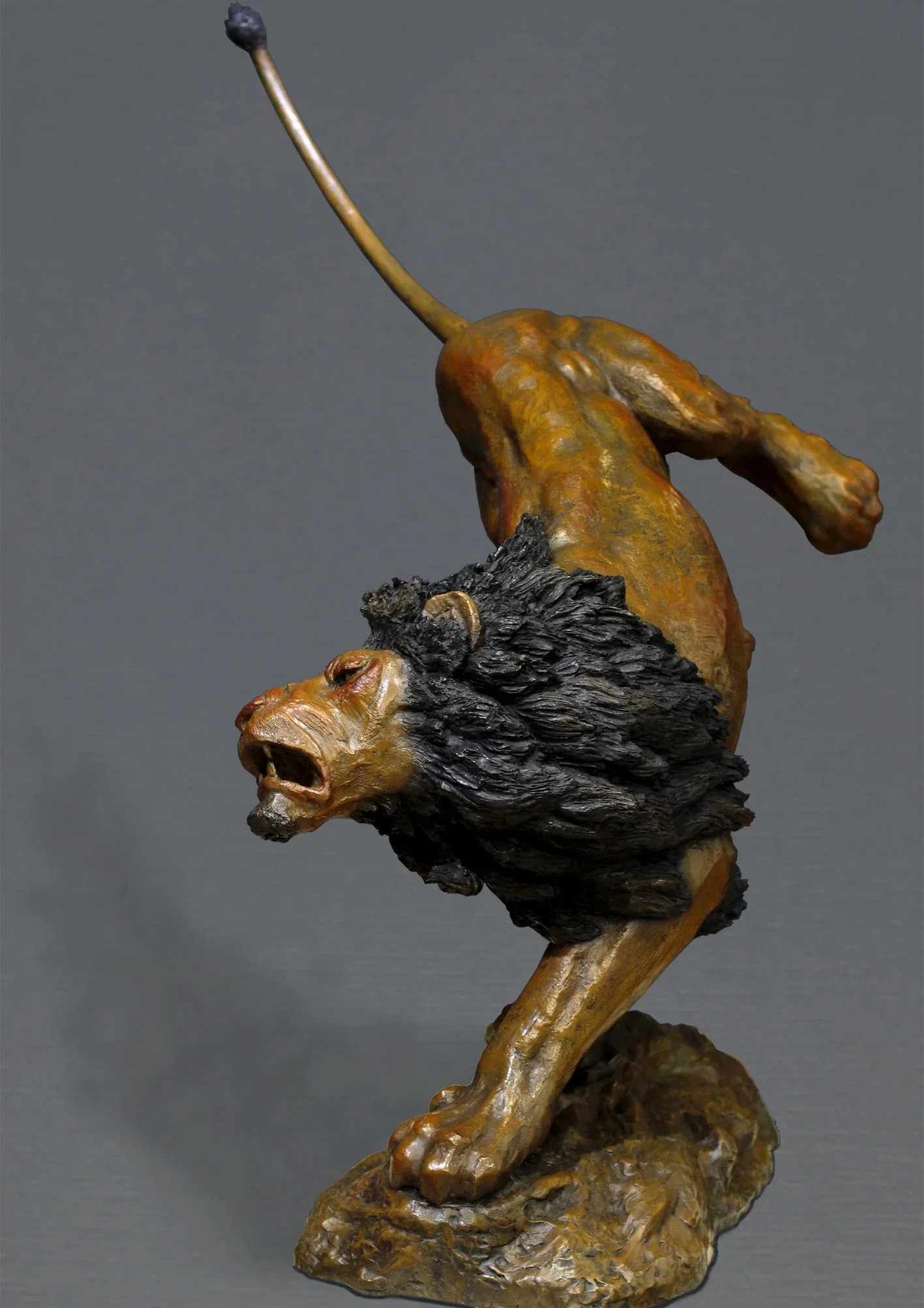 Offensive de lion — vue 2