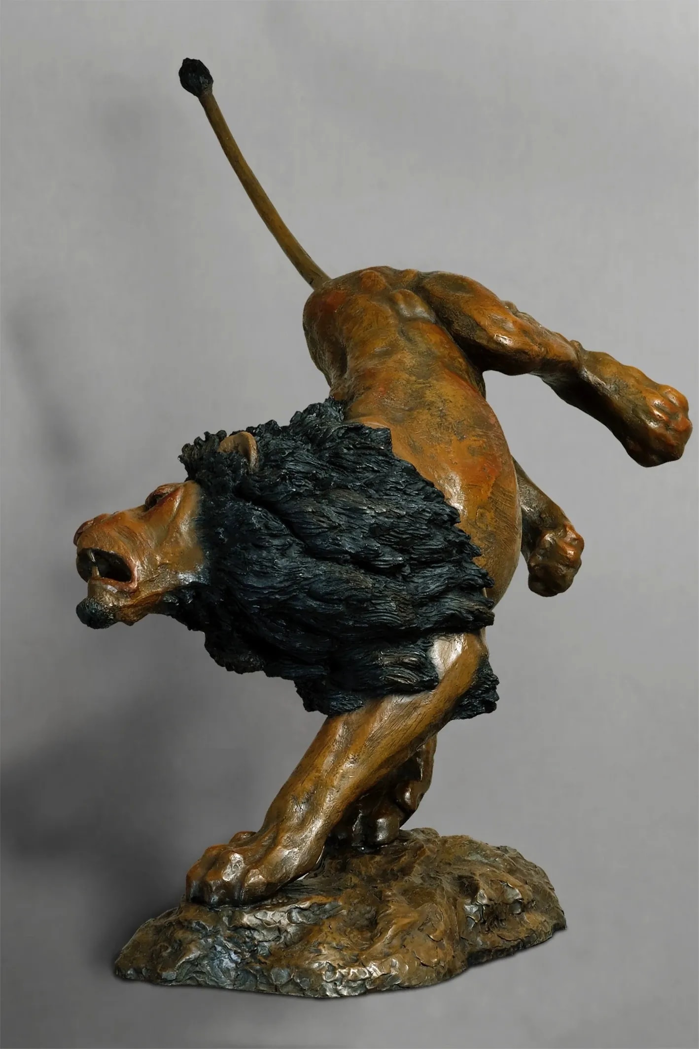 Offensive de lion — vue 3