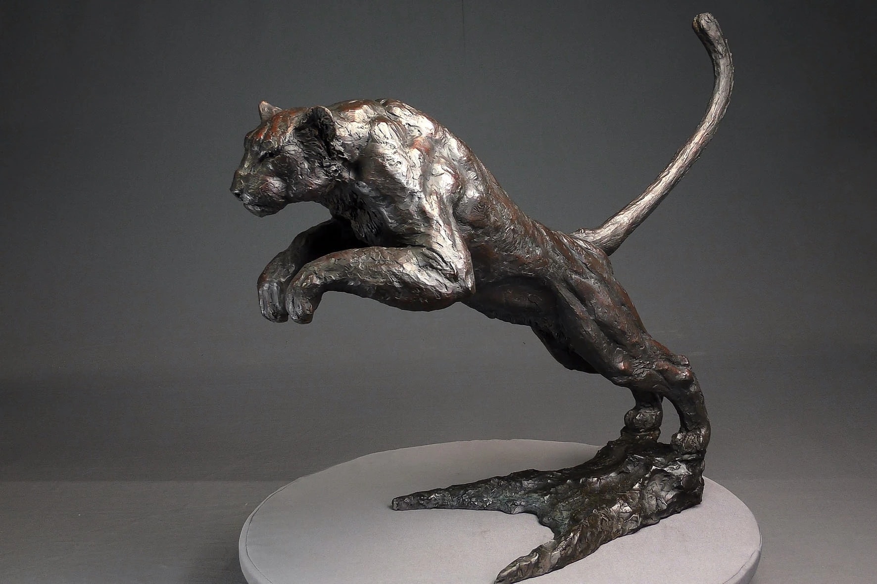 Okavango — vue 5