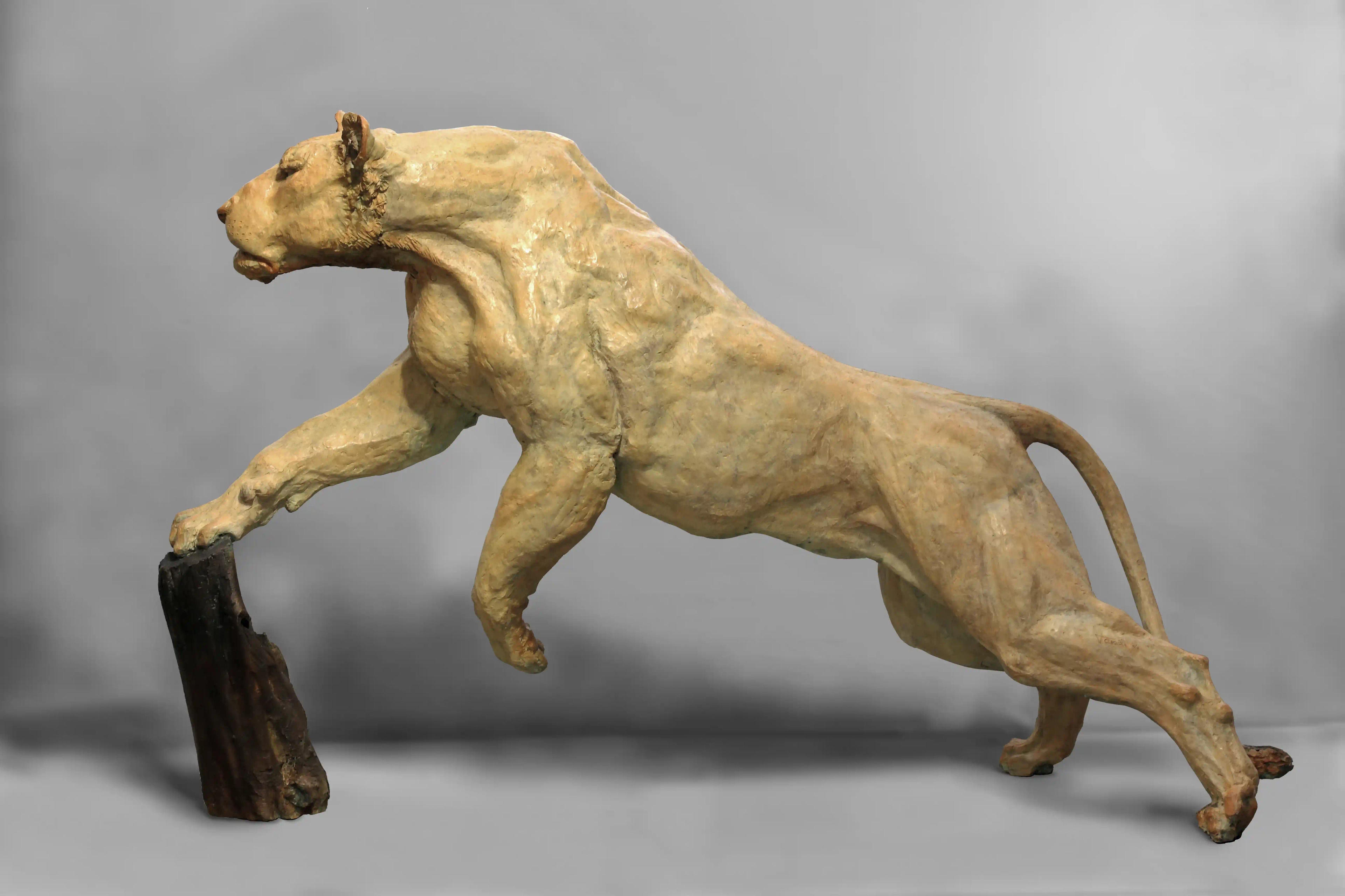 Reprise de la chasse — vue 5