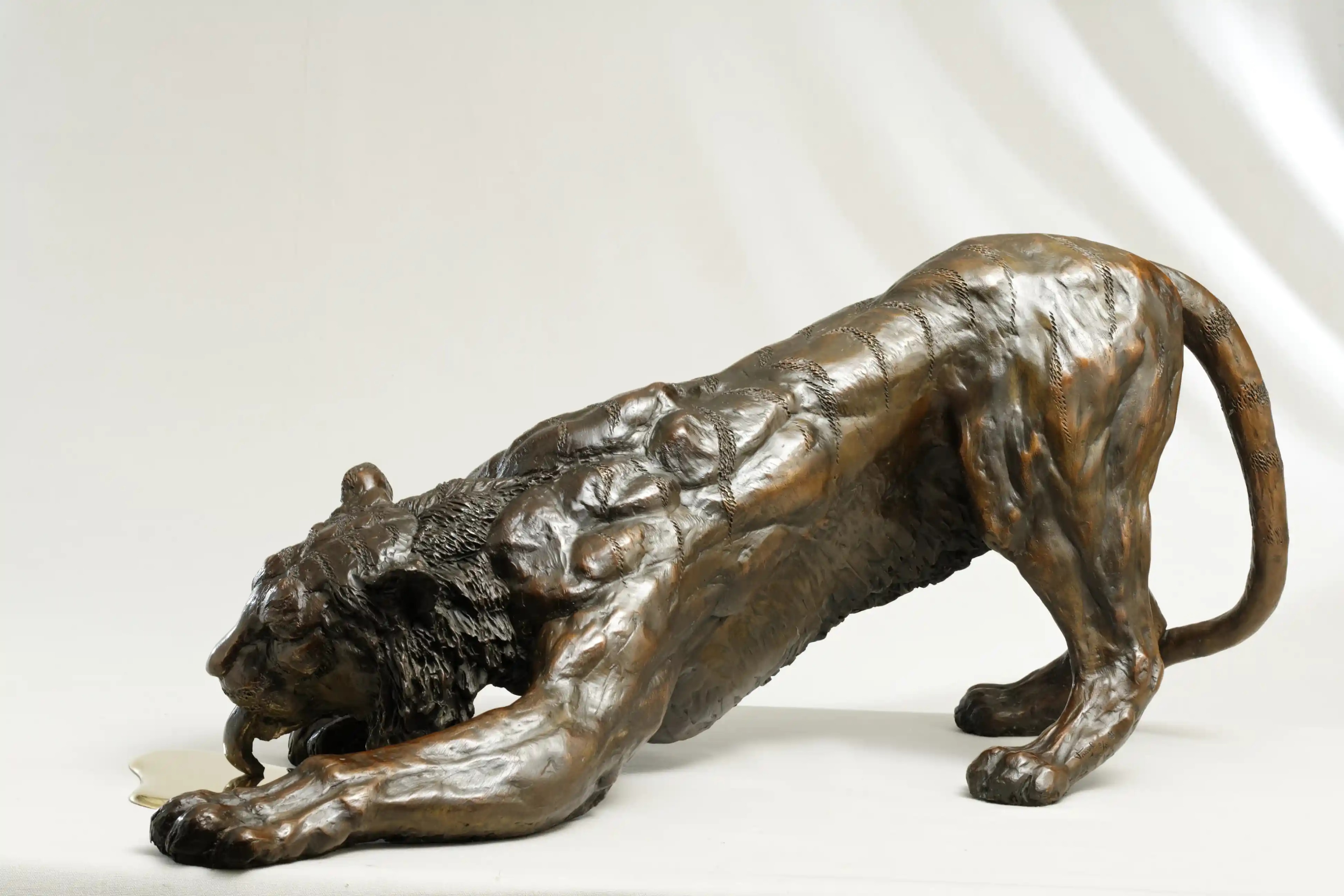 Soif de tigre — vue 8