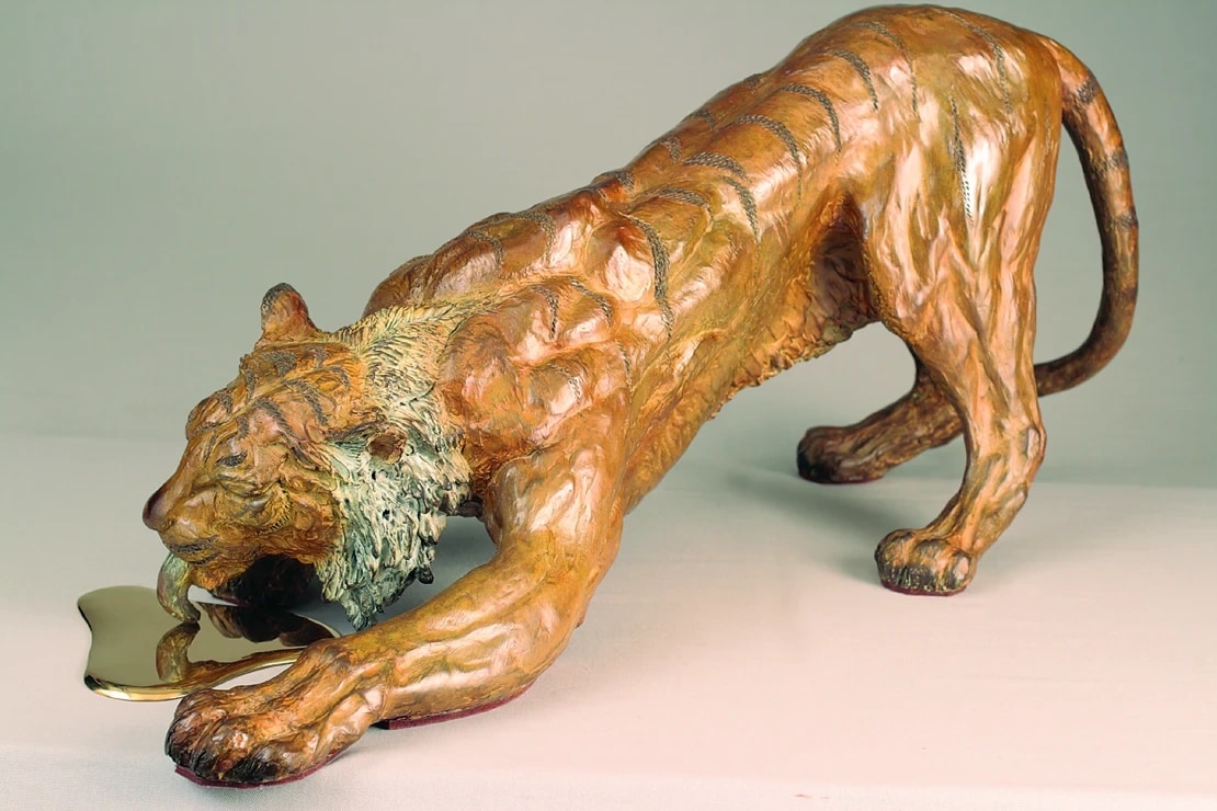 Soif de tigre — vue 9