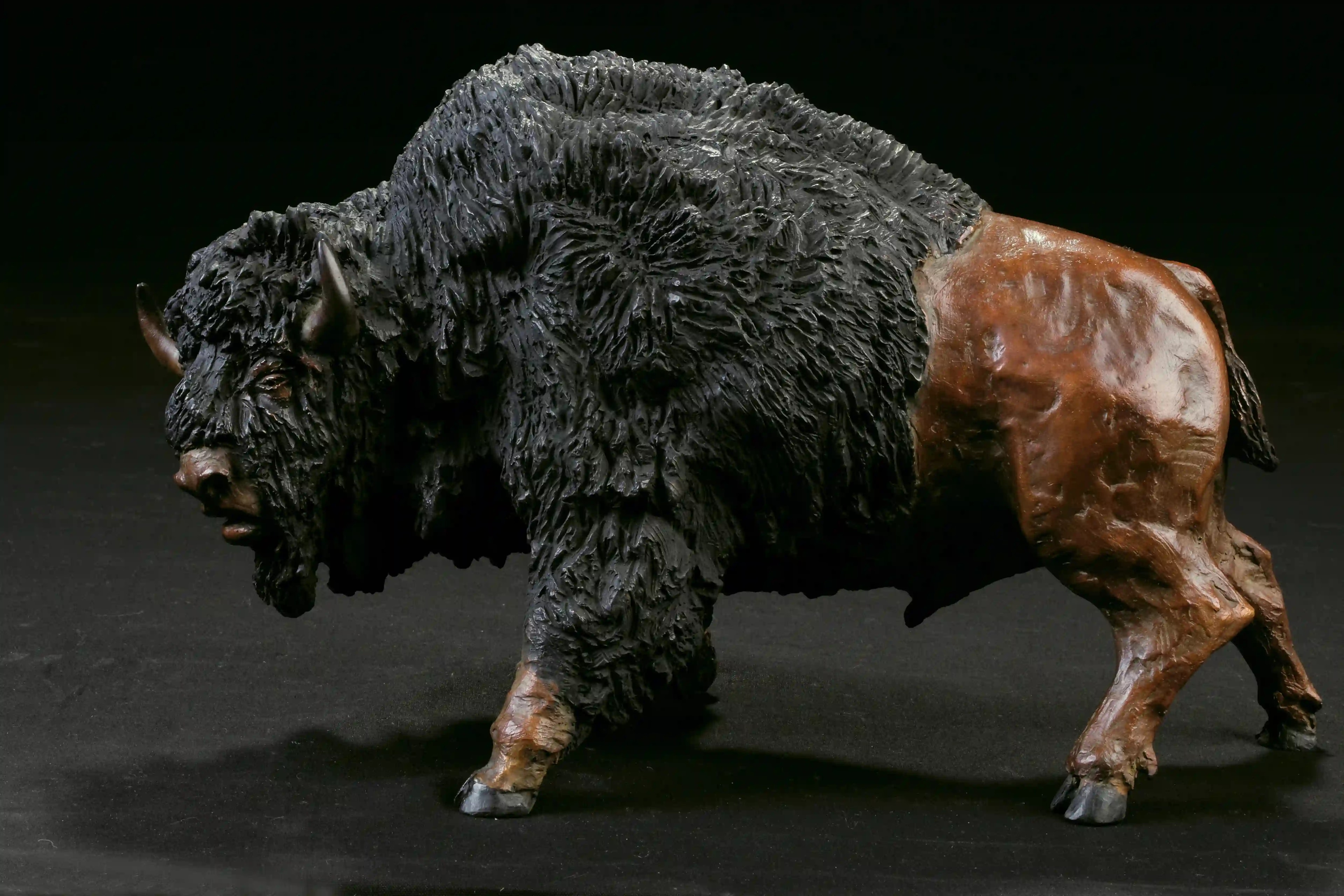 Tatanka — vue 10