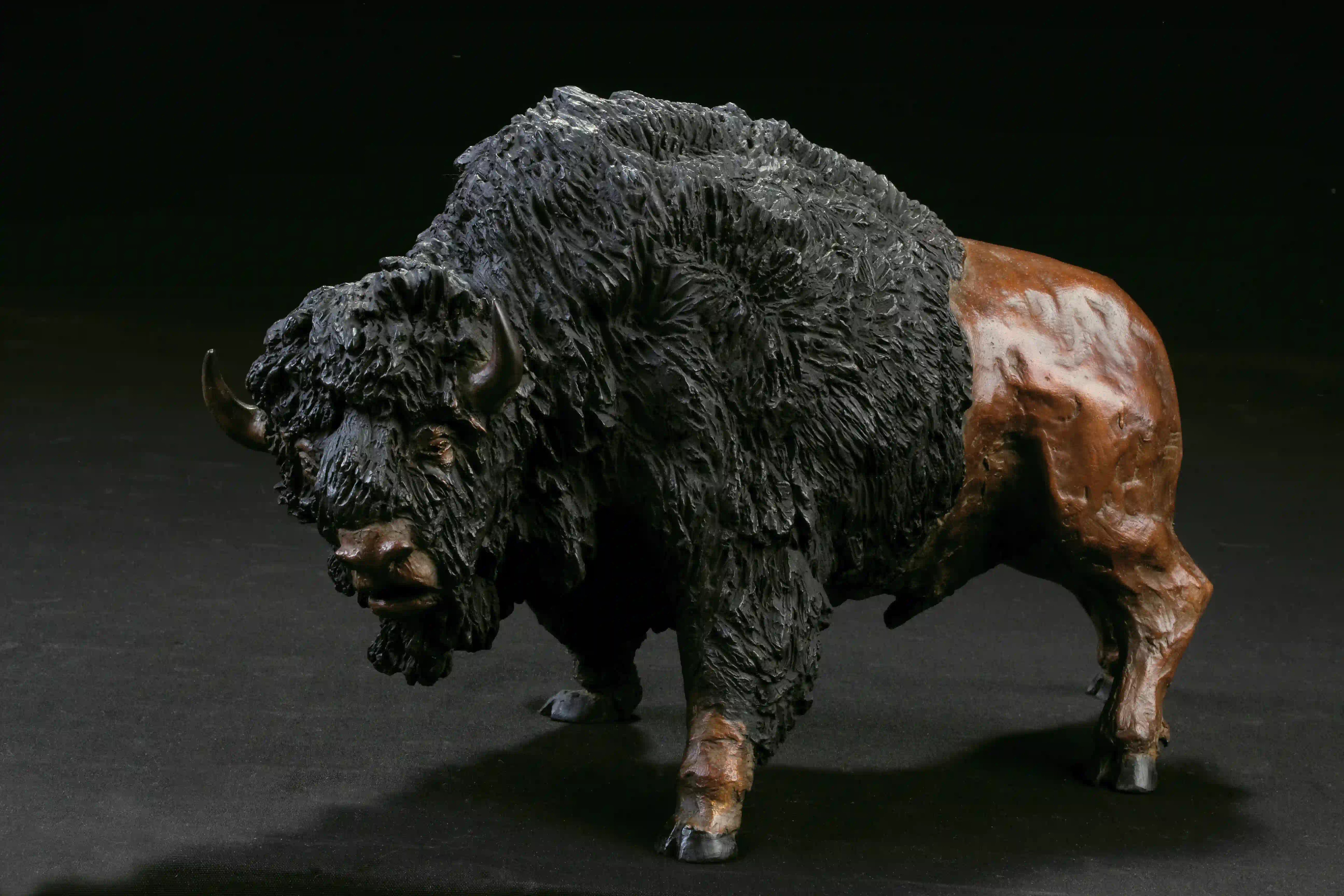 Tatanka — vue 11