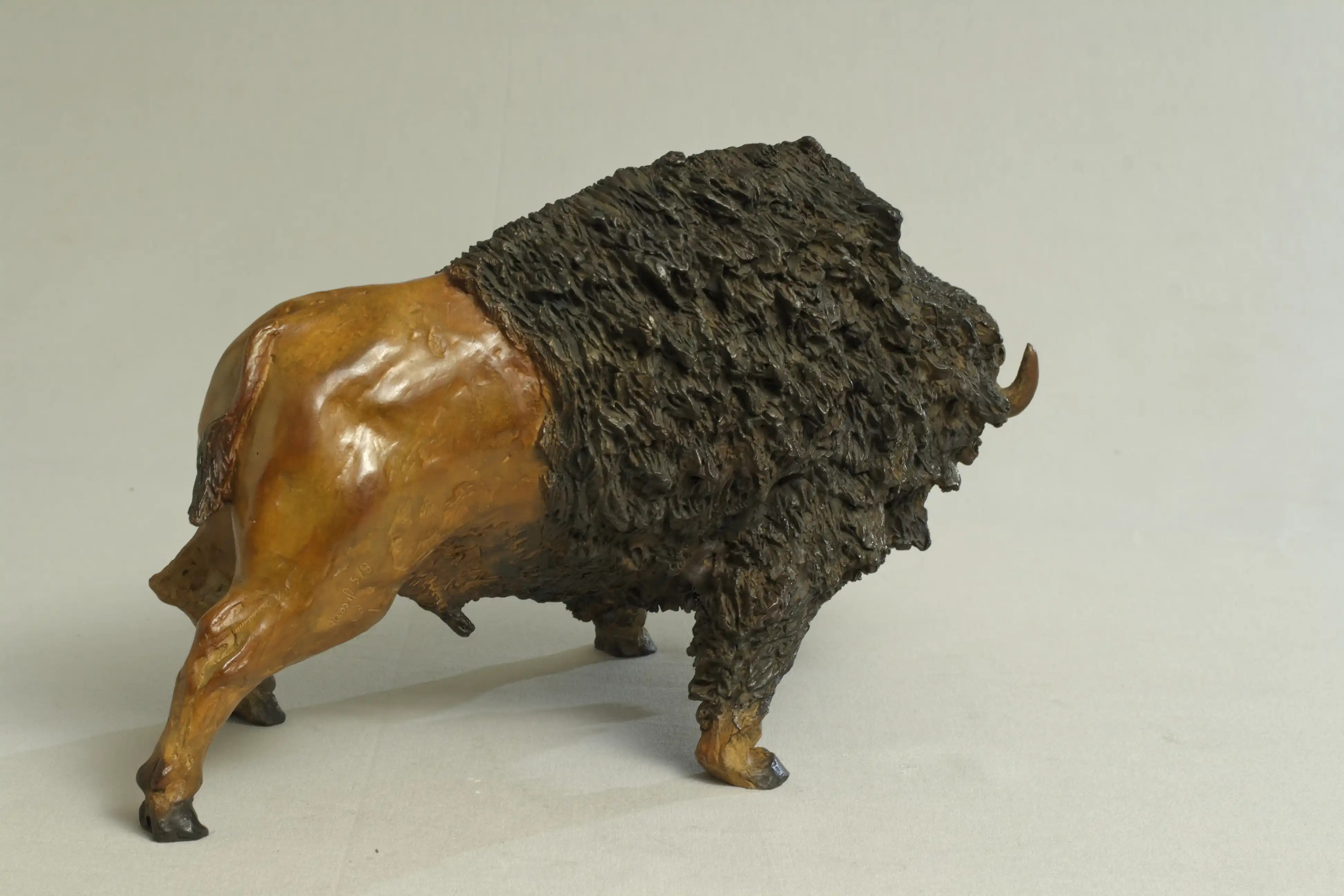 Tatanka — vue 6