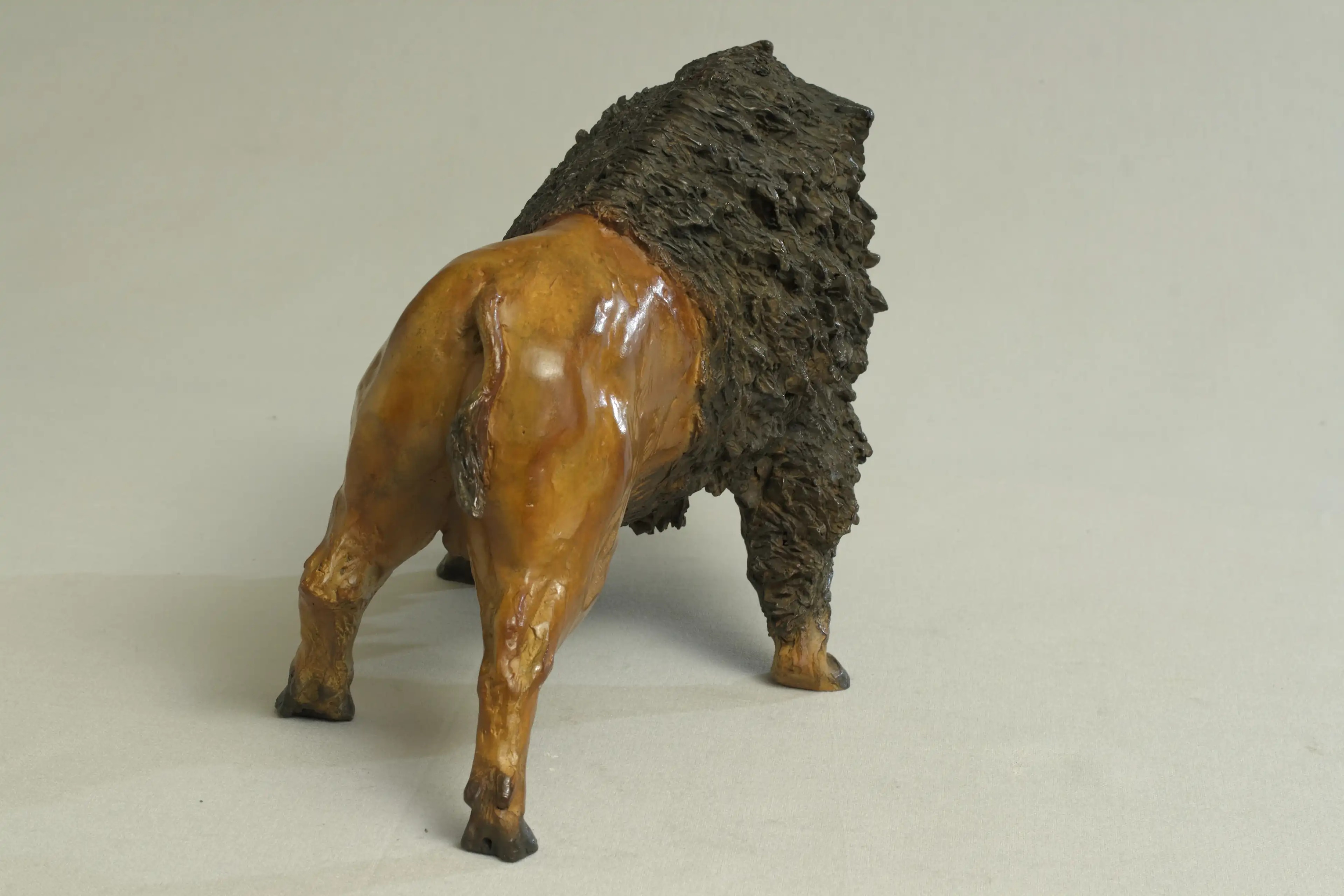 Tatanka — vue 7