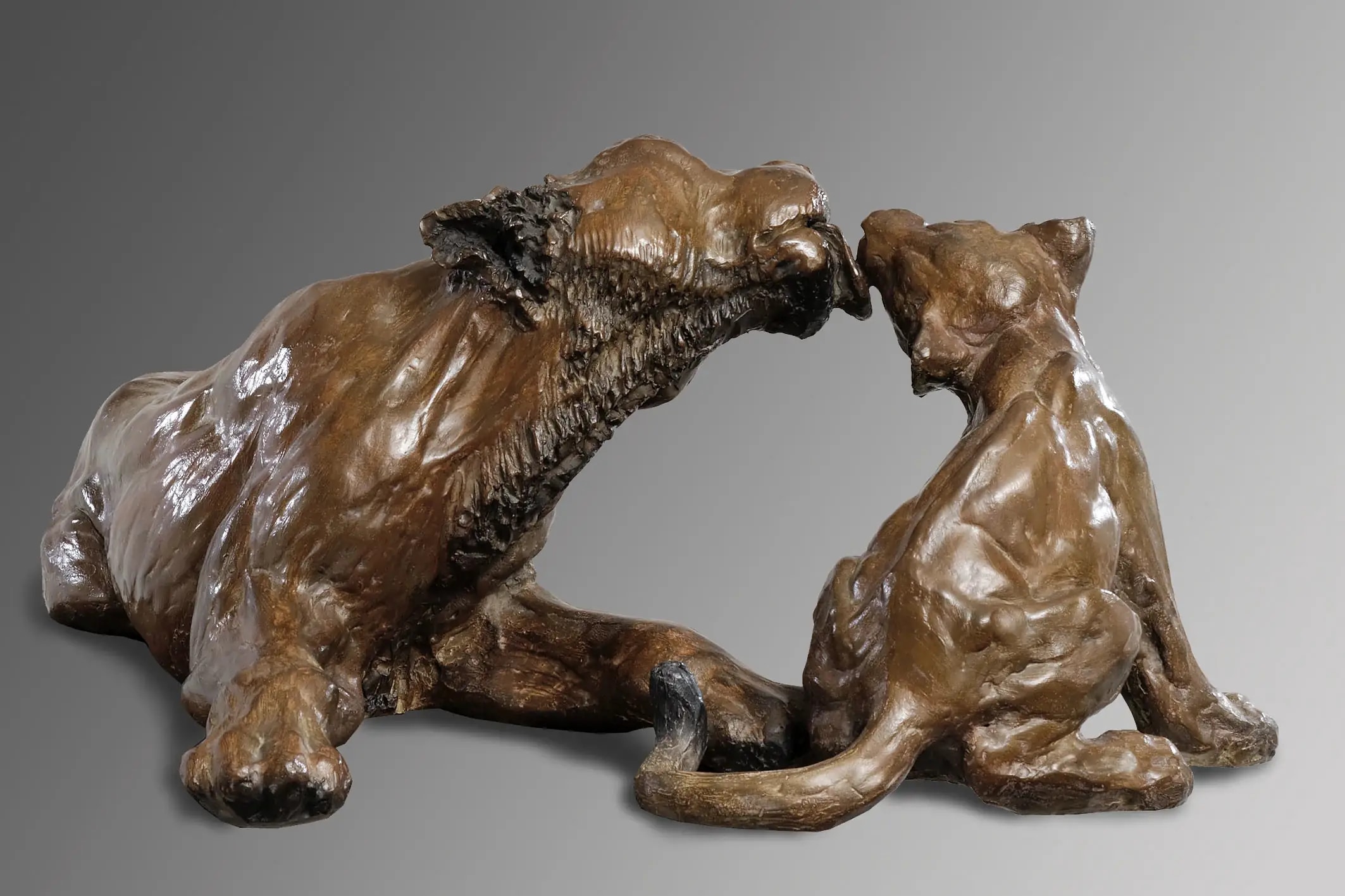 Tendresse — vue 2