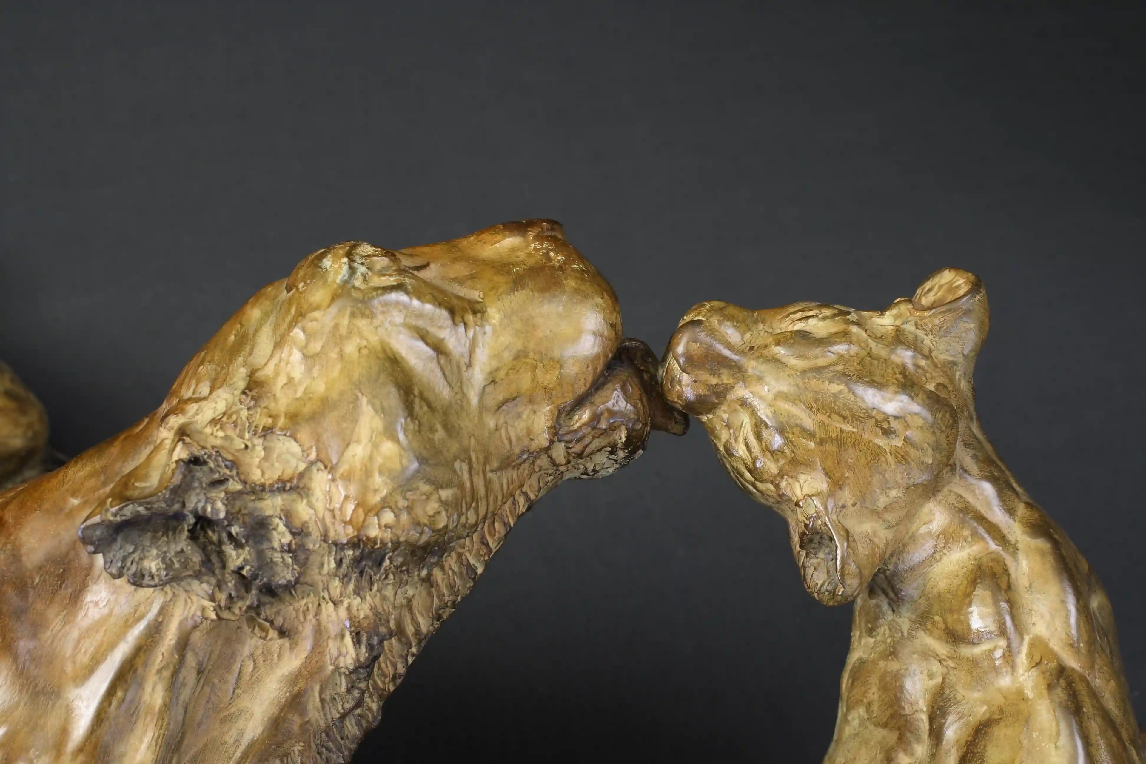Tendresse — vue 6
