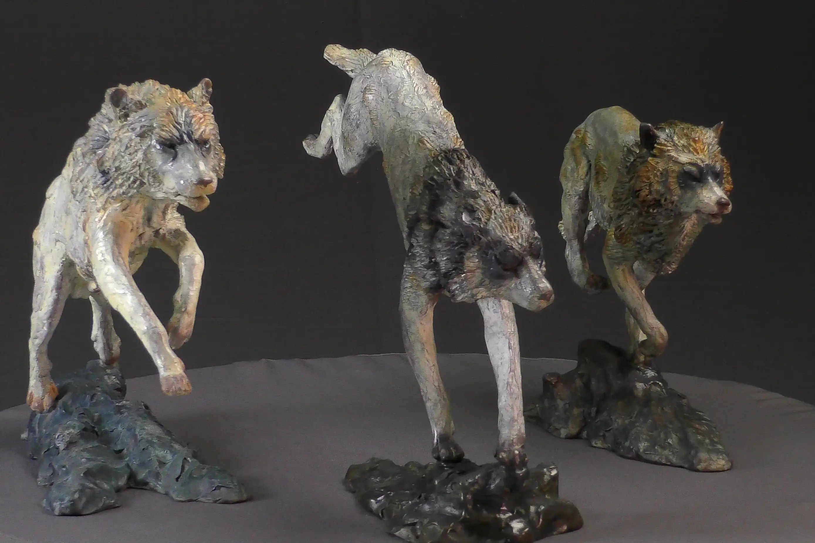 Trois loups en chasse — vue 1