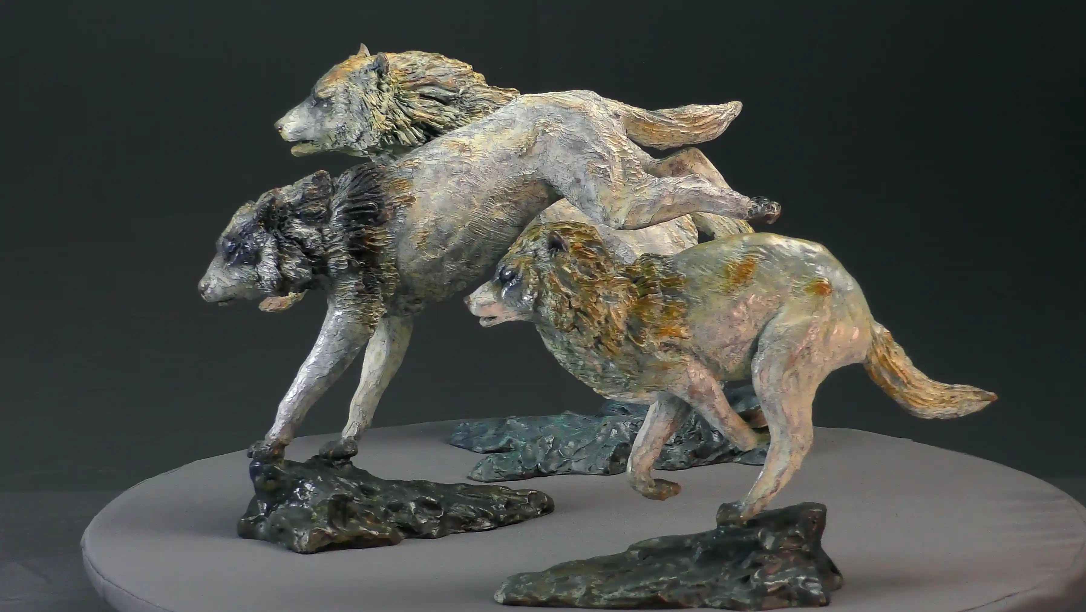 Trois loups en chasse — vue 5