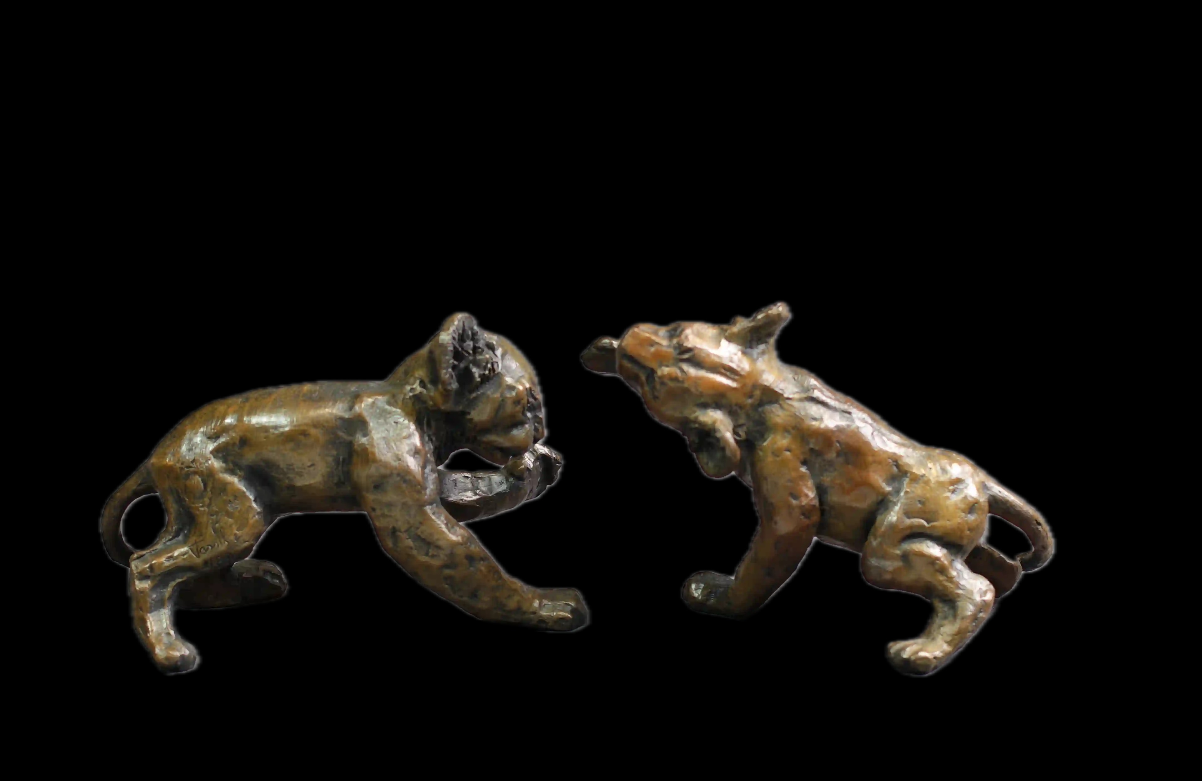 Deux lionceaux