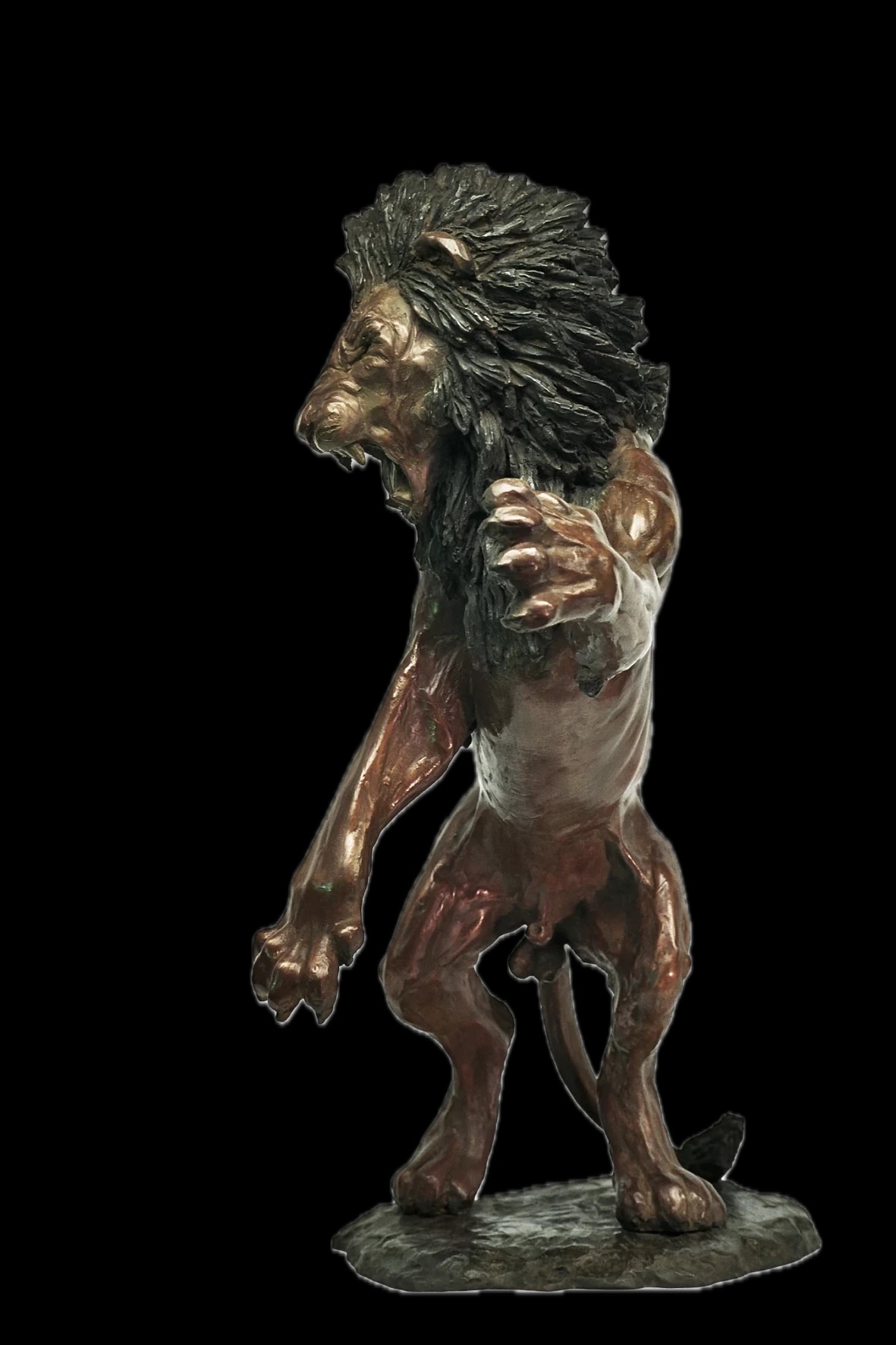 Lion combattant