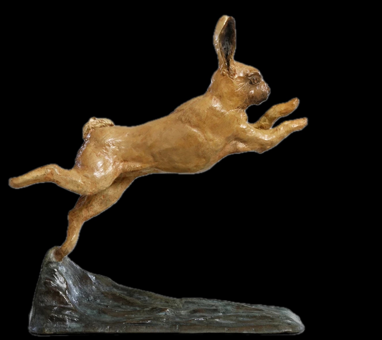 Lapin de garenne