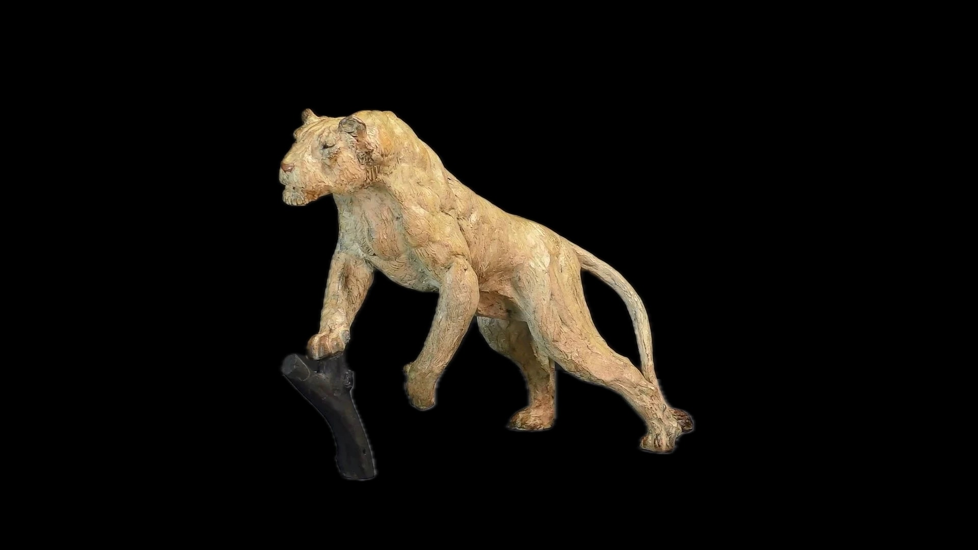 Lionne affamée