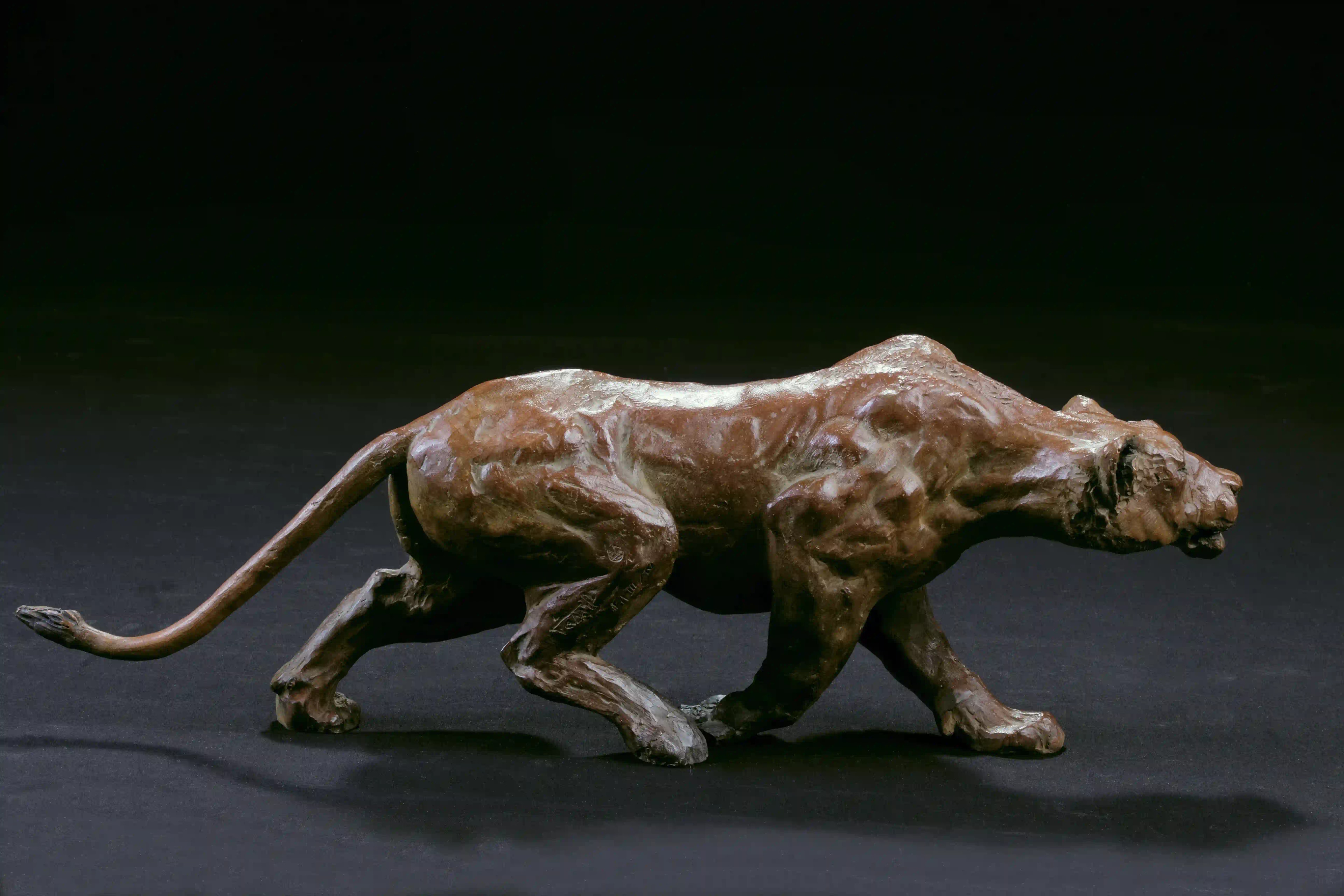 Lionne à l'affût — vue 1