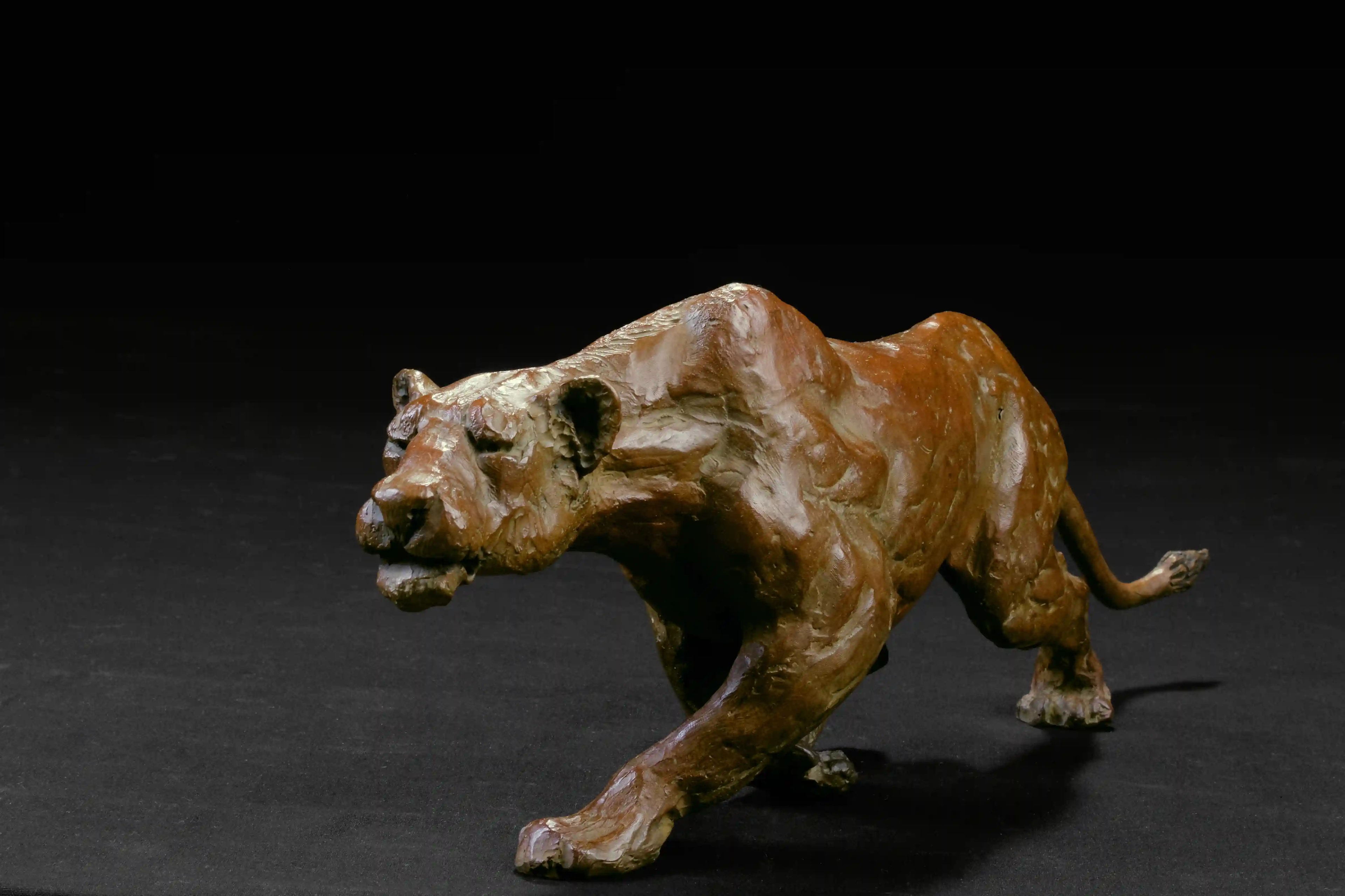 Lionne à l'affût — vue 2