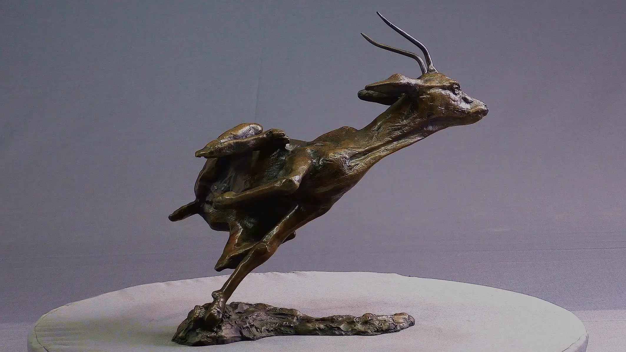 Affolement de gazelle — vue 1