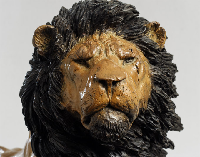 regard du lion